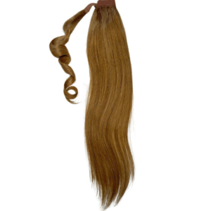 Honey Blonde Ponytail